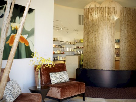 A modern waiting area with plush chairs, a small table, potted plants, and shelves displaying products beneath decorative lighting, ending the sentence.