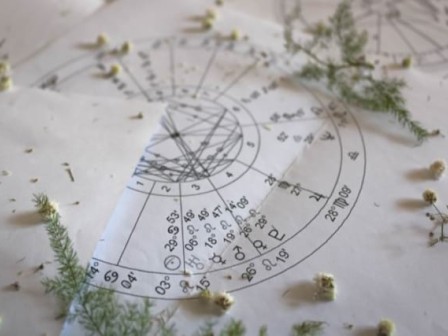 The image shows astrological charts, possibly natal charts, placed on a surface with scattered small flowers and green foliage around them.