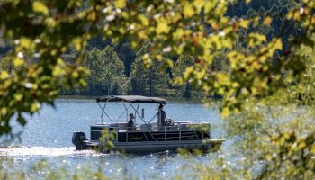 A motorboat on a lake with two people onboard, surrounded by lush greenery and trees, viewed through branches with leaves.