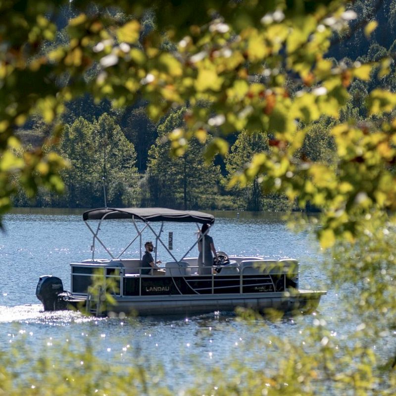 A boat glides on a tranquil lake, surrounded by green foliage and trees, creating a peaceful and scenic nature view.