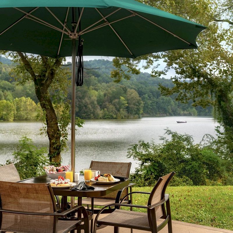 An outdoor dining setup with a green umbrella by a lake, surrounded by trees and greenery, with a table set for a meal, ending the sentence.