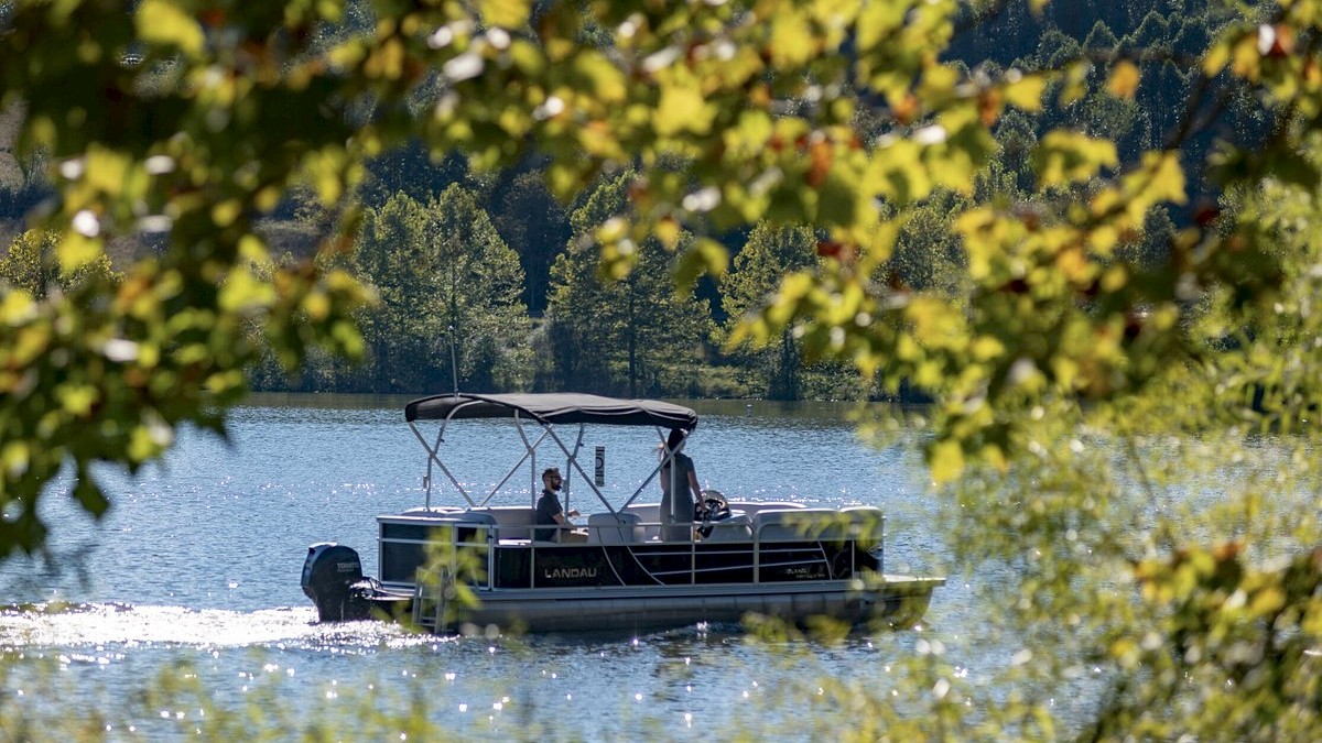 A pontoon boat glides on a tranquil lake, framed by green leaves, with forested hills in the background. The water reflects the blue sky above.